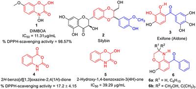 Discovery of C-3 Tethered 2-oxo-benzo[1,4]oxazines as Potent Antioxidants: Bio-Inspired Based Design, Synthesis, Biological Evaluation, Cytotoxic, and in Silico Molecular Docking Studies